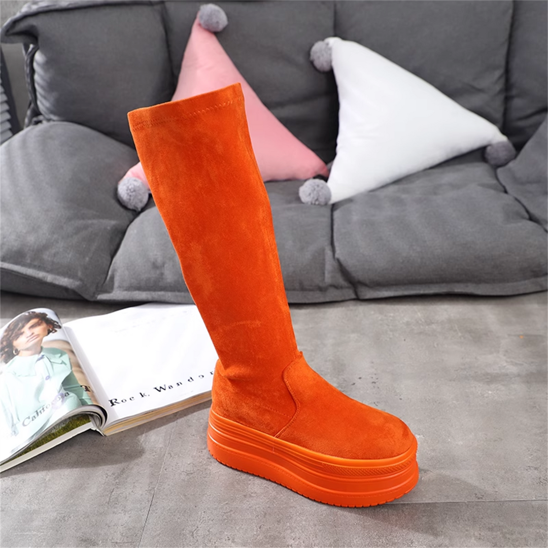 Wedge Suede Tall Boots