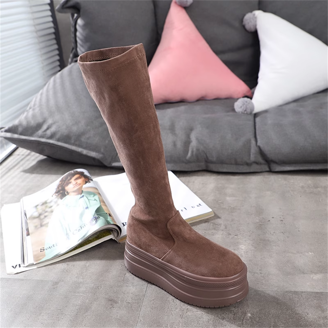 Wedge Suede Tall Boots