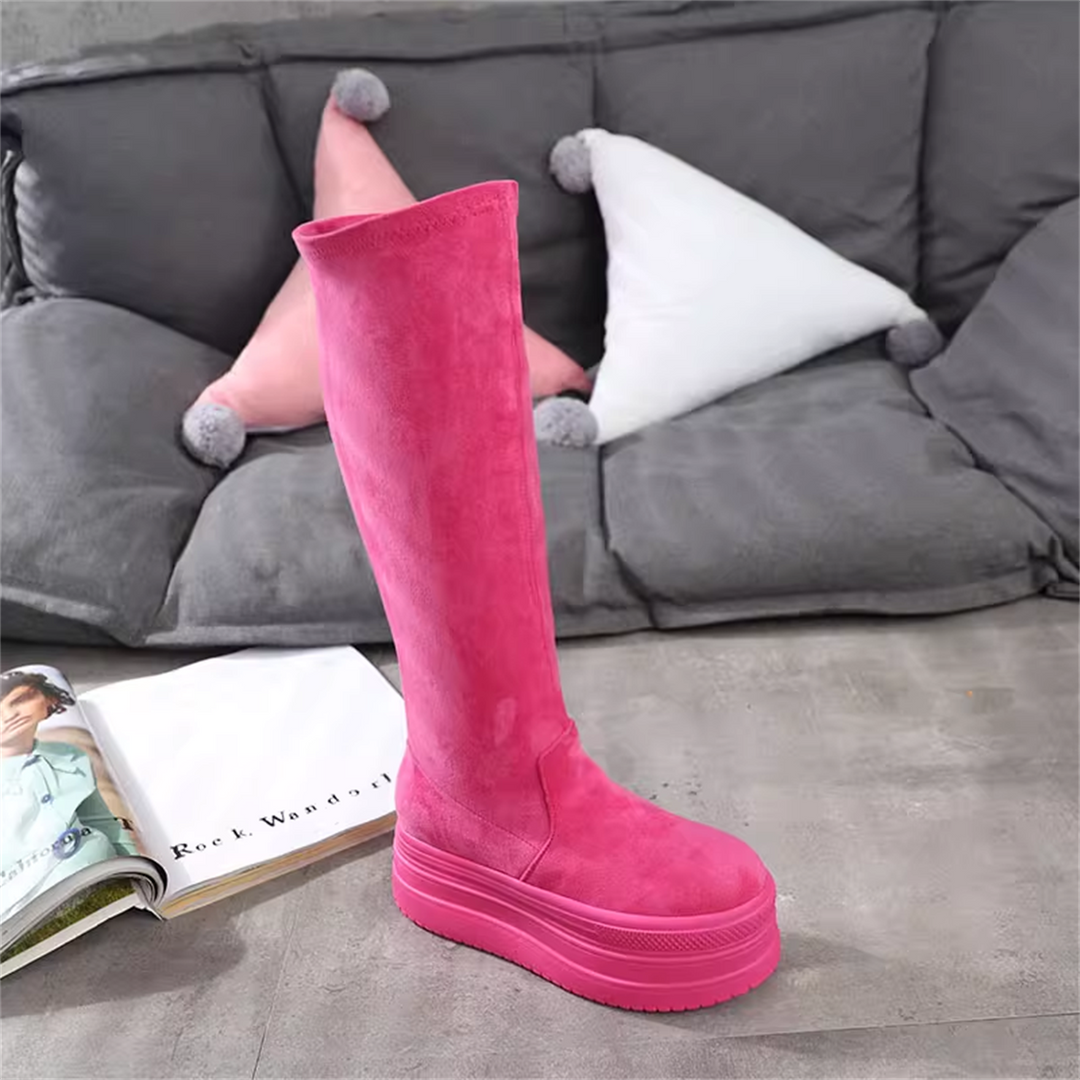 Wedge Suede Tall Boots