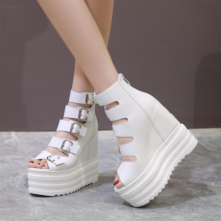 Wedge Summer Bot