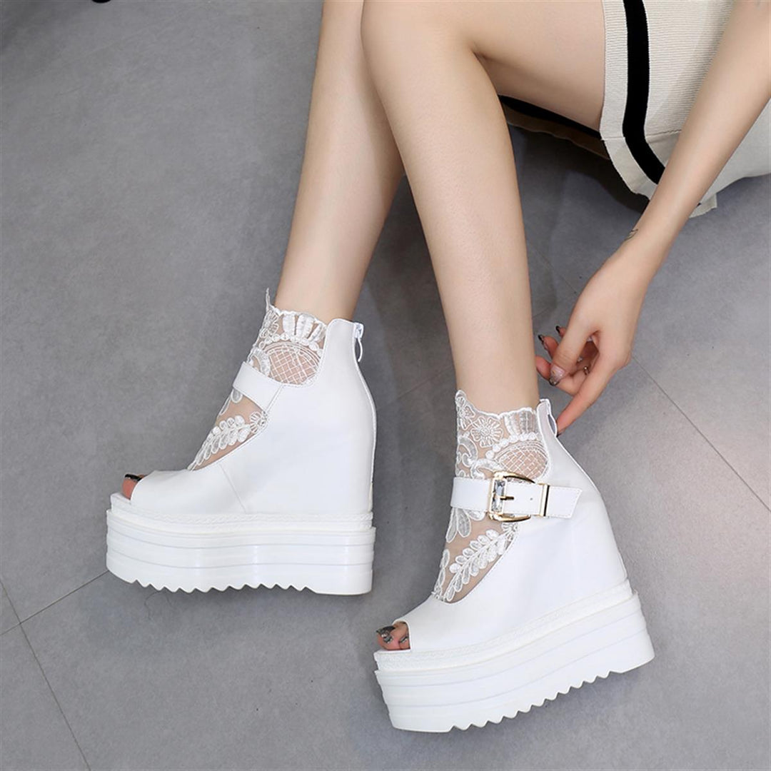 Wedge Summer Bot