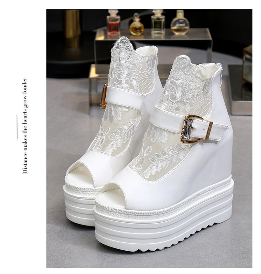 Wedge Summer Bot